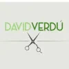 David verdu valles
