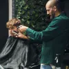 sergio