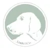 Guardería Canina